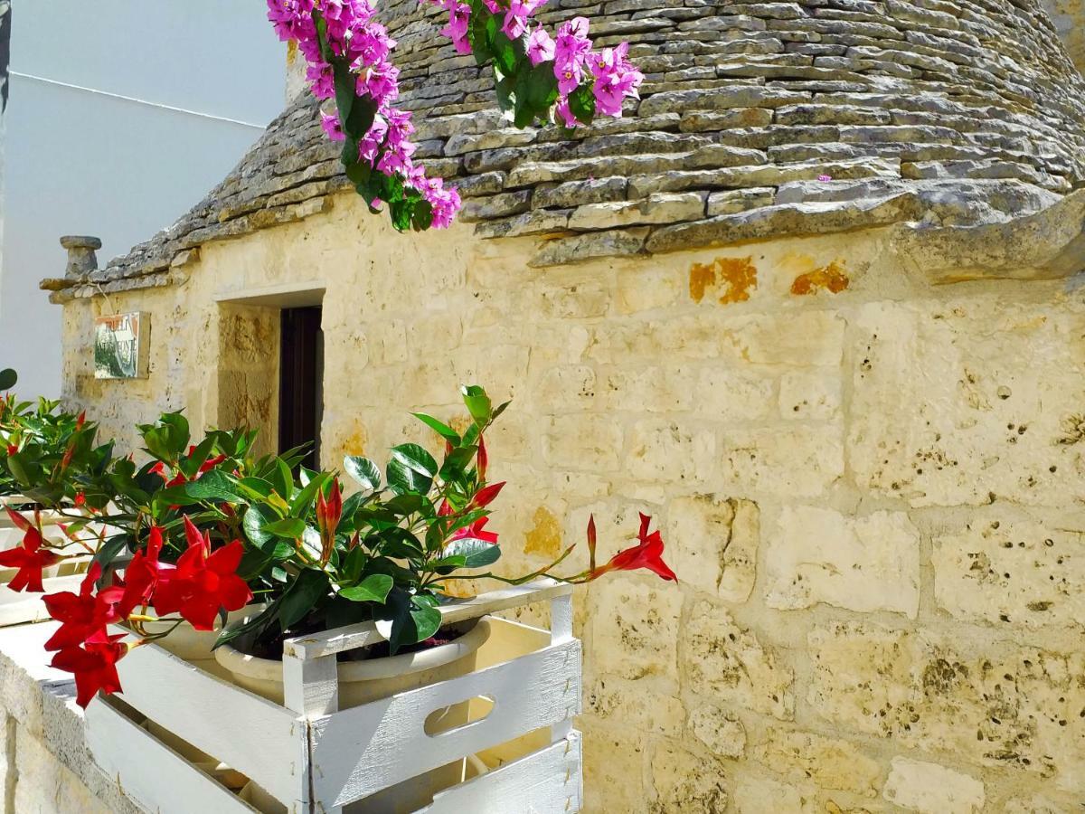 Trulli Antica Fonte Bed and Breakfast Αλμπερομπέλο Εξωτερικό φωτογραφία