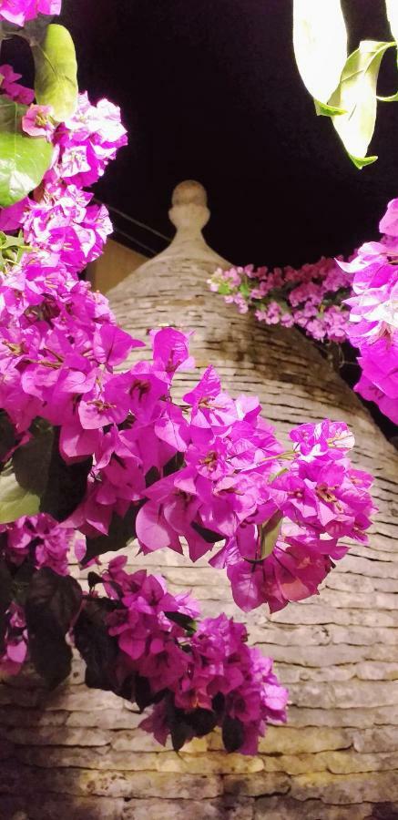 Trulli Antica Fonte Bed and Breakfast Αλμπερομπέλο Εξωτερικό φωτογραφία